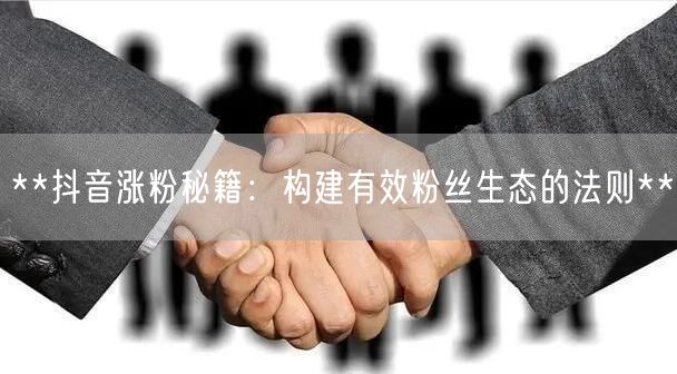 **抖音涨粉秘籍：构建有效粉丝生态的法则**