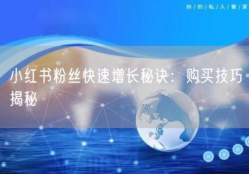 小红书粉丝快速增长秘诀：购买技巧揭秘