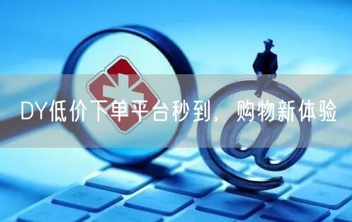 DY低价下单平台秒到，购物新体验