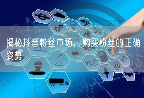 揭秘抖音粉丝市场，购买粉丝的正确姿势