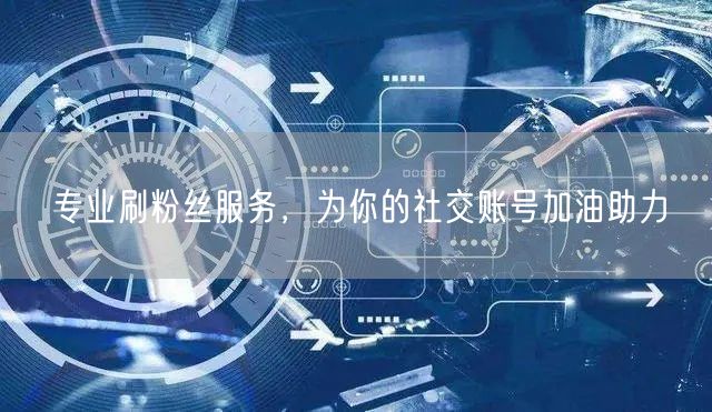 专业刷粉丝服务，为你的社交账号加油助力