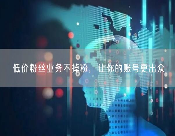 低价粉丝业务不掉粉，让你的账号更出众