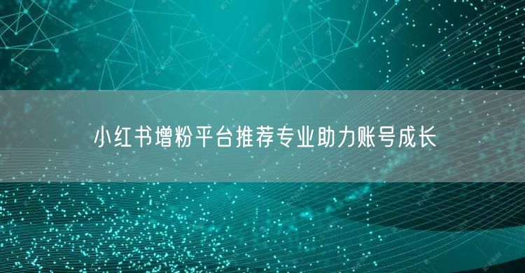 小红书增粉平台推荐专业助力账号成长