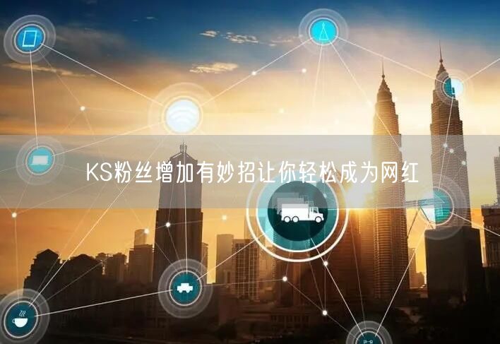 KS粉丝增加有妙招让你轻松成为网红