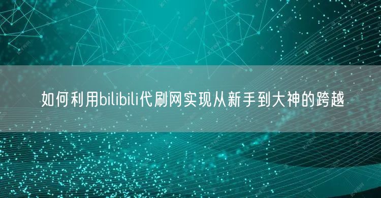 如何利用bilibili代刷网实现从新手到大神的跨越