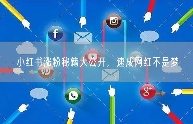 小红书涨粉秘籍大公开，速成网红不是梦