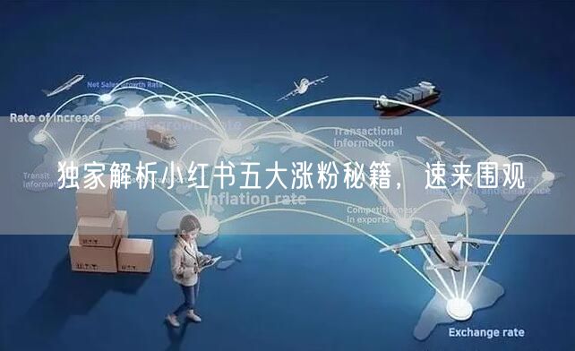独家解析小红书五大涨粉秘籍，速来围观