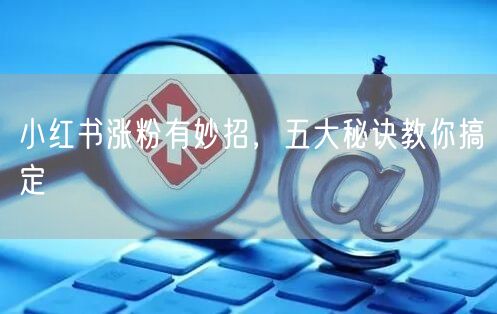小红书涨粉有妙招，五大秘诀教你搞定