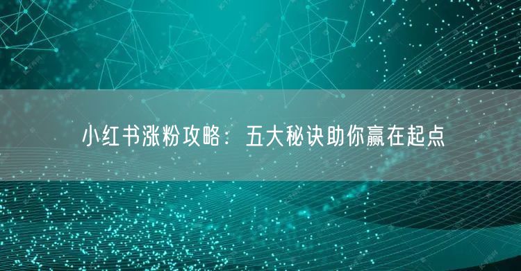 小红书涨粉攻略：五大秘诀助你赢在起点