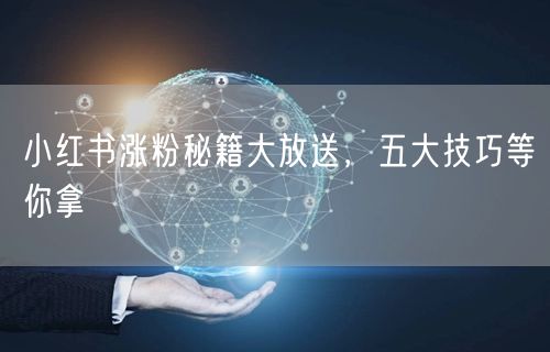 小红书涨粉秘籍大放送，五大技巧等你拿