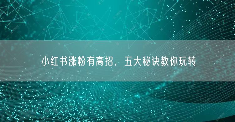 小红书涨粉有高招，五大秘诀教你玩转