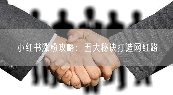 小红书涨粉攻略：五大秘诀打造网红路