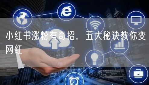小红书涨粉有奇招，五大秘诀教你变网红