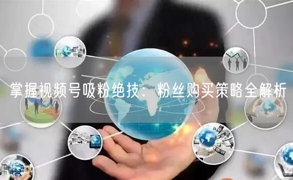 掌握视频号吸粉绝技：粉丝购买策略全解析