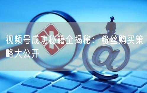 视频号成功秘籍全揭秘：粉丝购买策略大公开