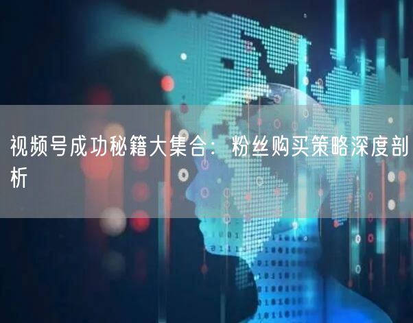 视频号成功秘籍大集合：粉丝购买策略深度剖析