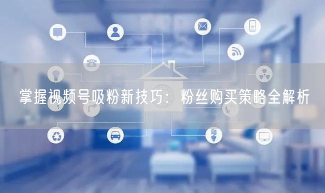 掌握视频号吸粉新技巧：粉丝购买策略全解析