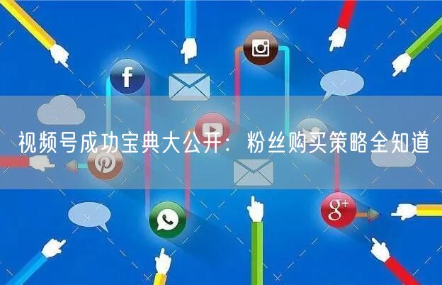 视频号成功宝典大公开：粉丝购买策略全知道