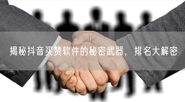 揭秘抖音买赞软件的秘密武器，排名大解密