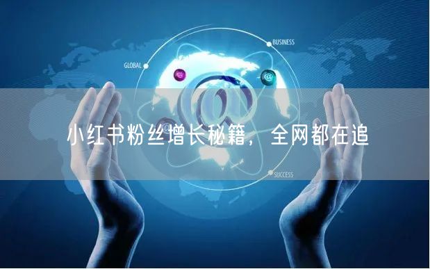 小红书粉丝增长秘籍，全网都在追